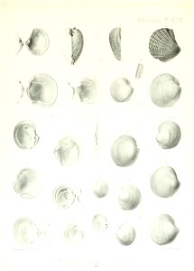 n184_w1150