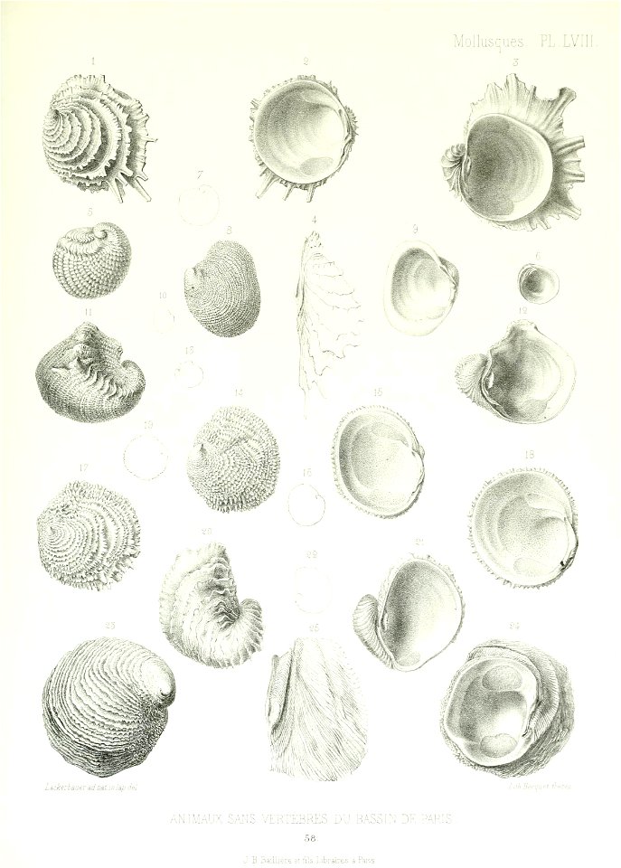 n214_w1150