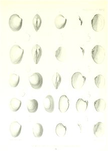 n154_w1150