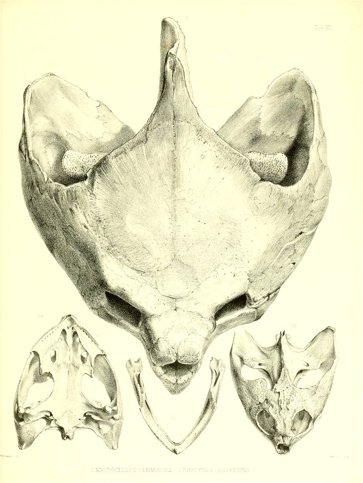 n184_w1150