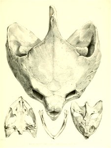 n184_w1150