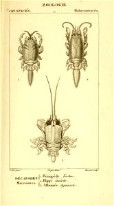 n542_w1150