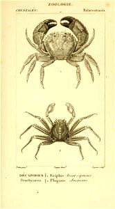 n512_w1150