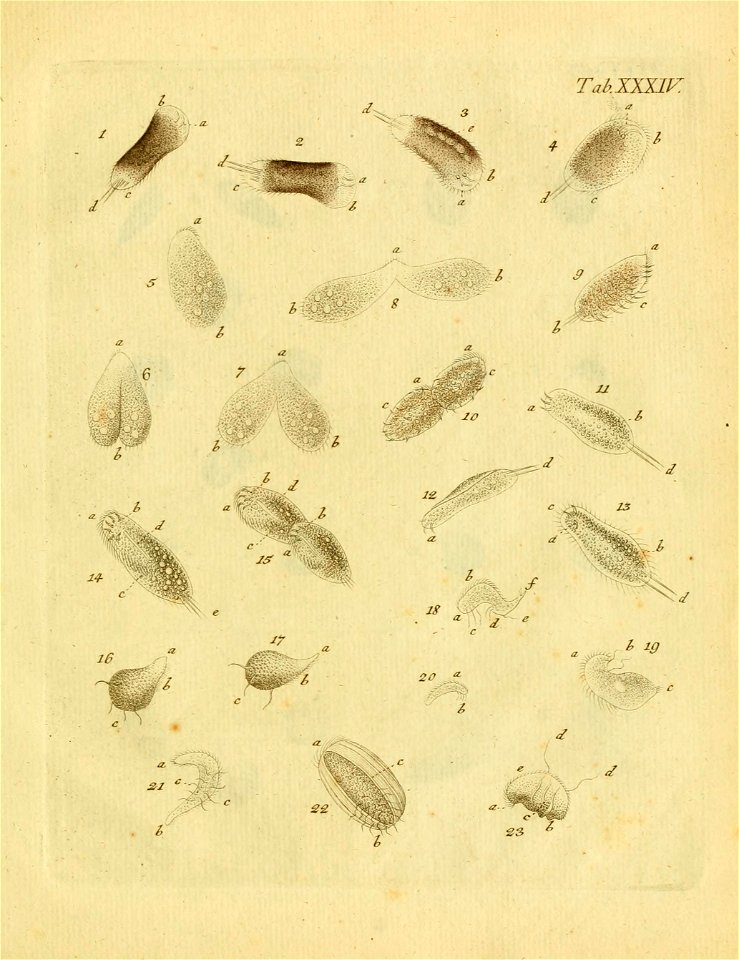 n502_w1150