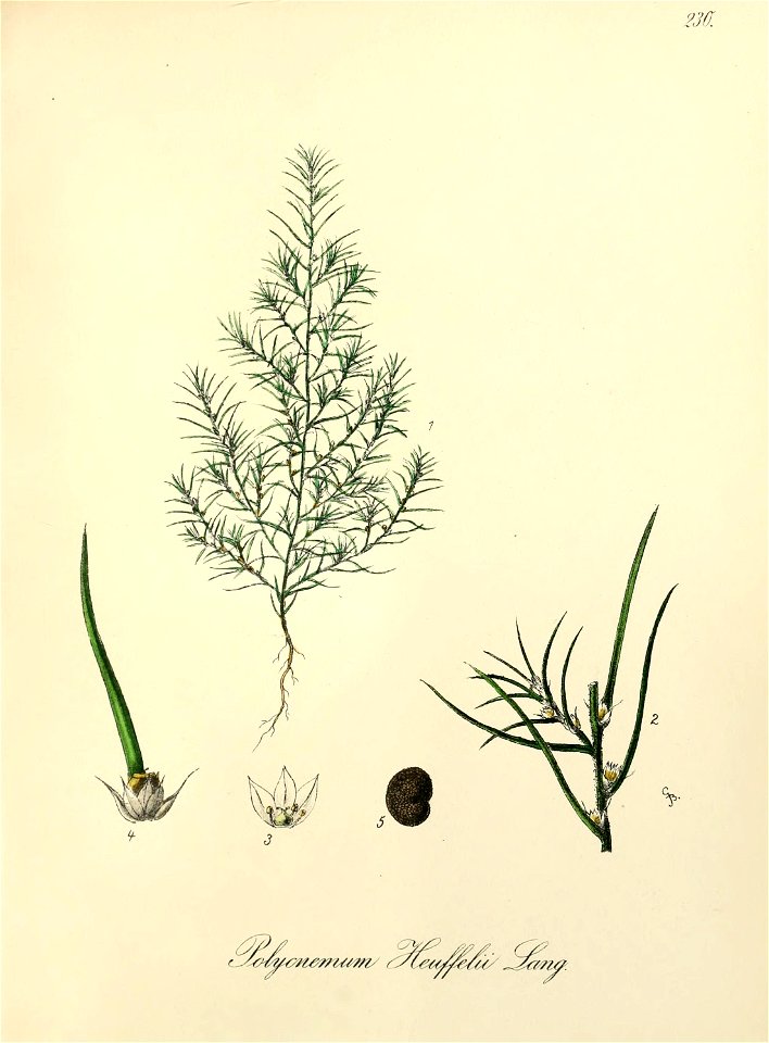 n410_w1150