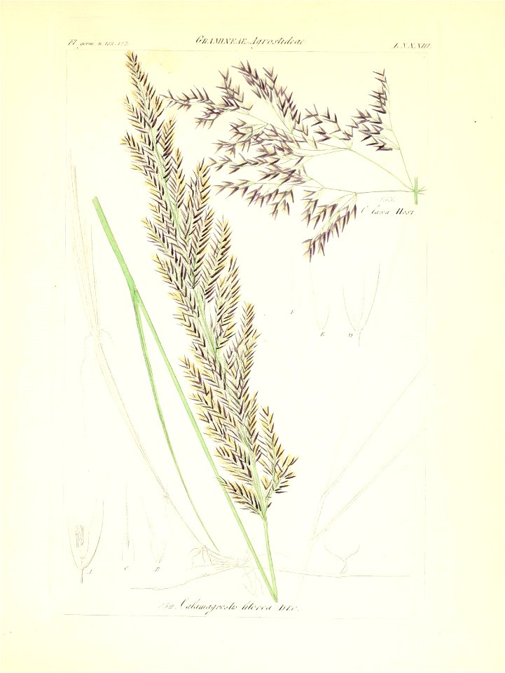 n112_w1150
