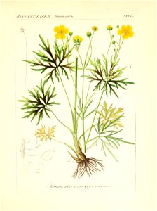 n176_w1150