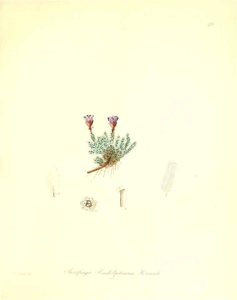 n276_w1150