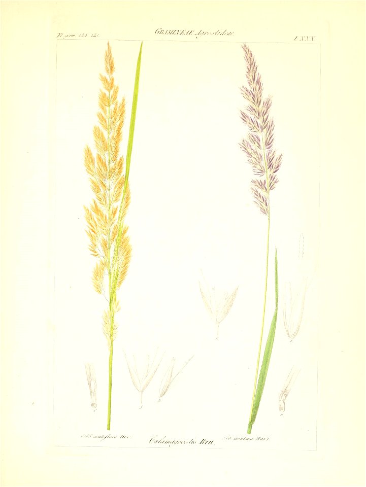 n106_w1150