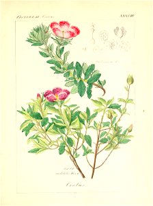 n138_w1150