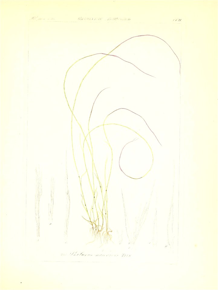 n160_w1150