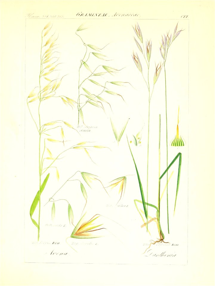 n158_w1150