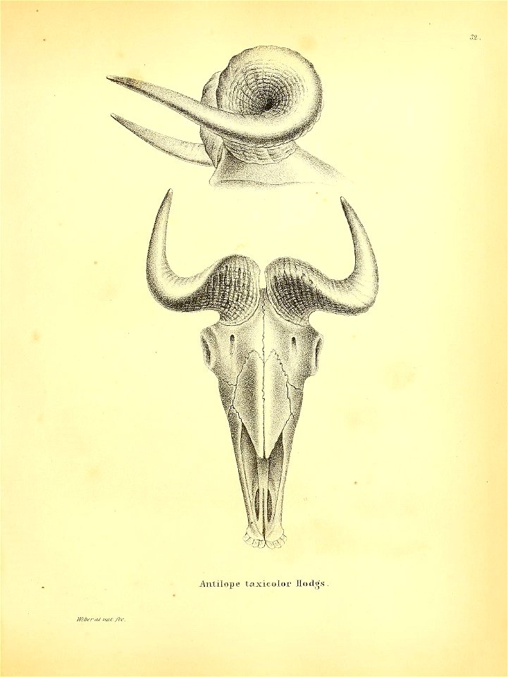 n472_w1150