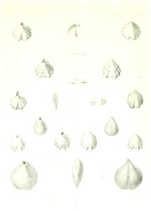 n272_w1150