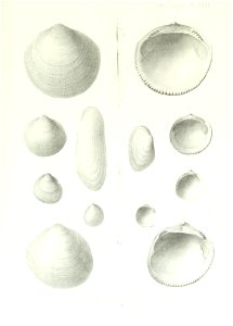 n242_w1150