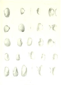 n212_w1150