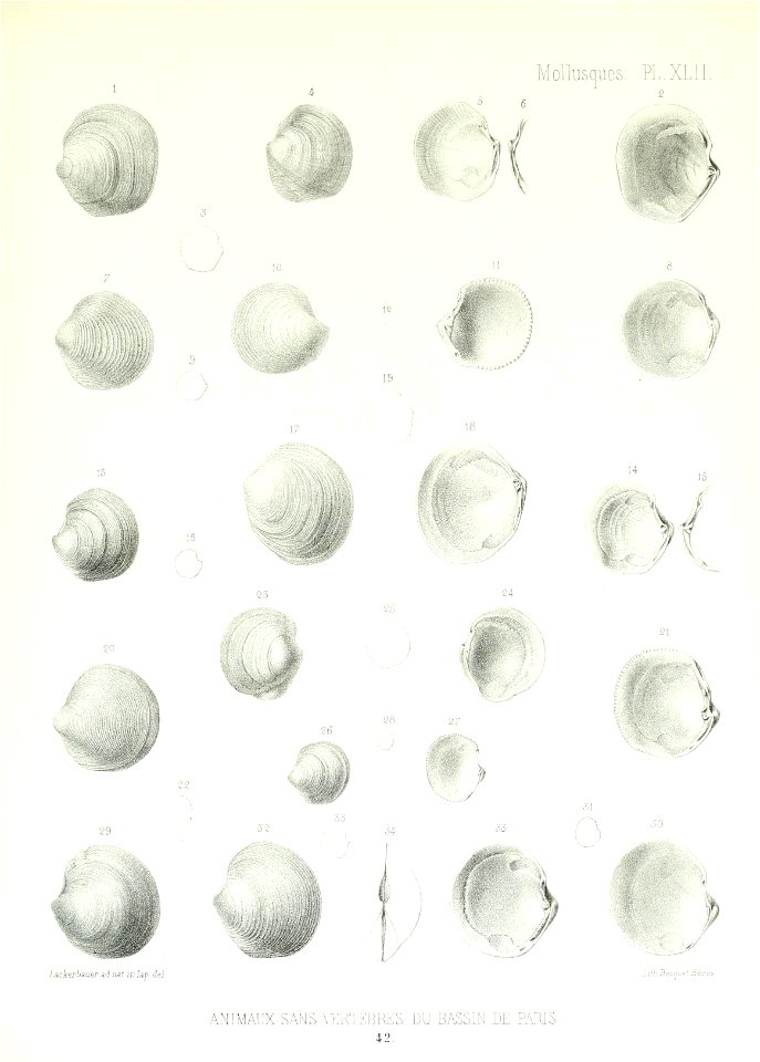 n182_w1150