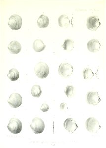 n182_w1150