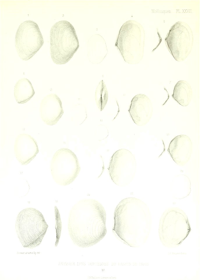 n152_w1150
