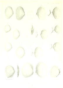 n152_w1150