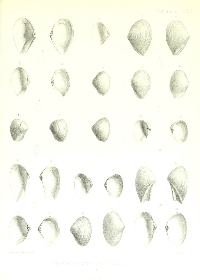 n120_w1150