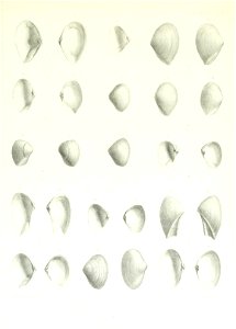 n120_w1150