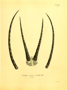 n406_w1150