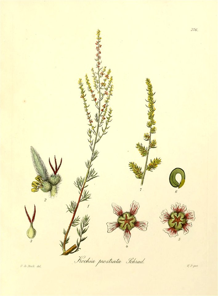 n502_w1150