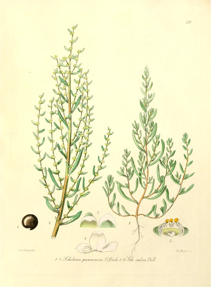 n532_w1150