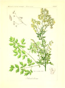 n206_w1150