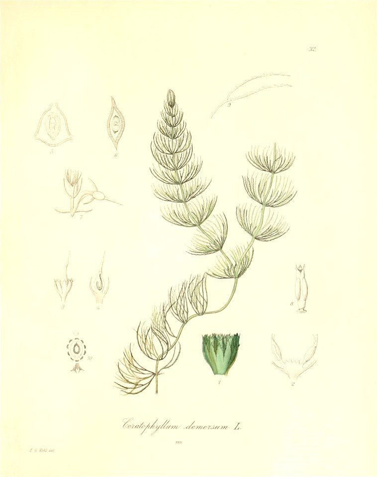 n156_w1150