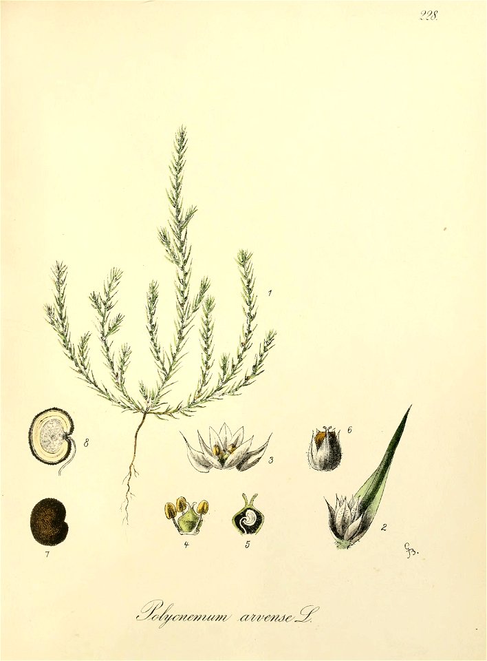 n406_w1150