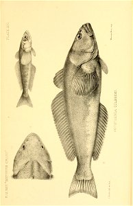 n382_w1150