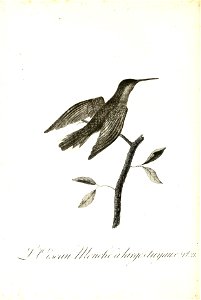 n121_w1150