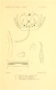 n438_w1150