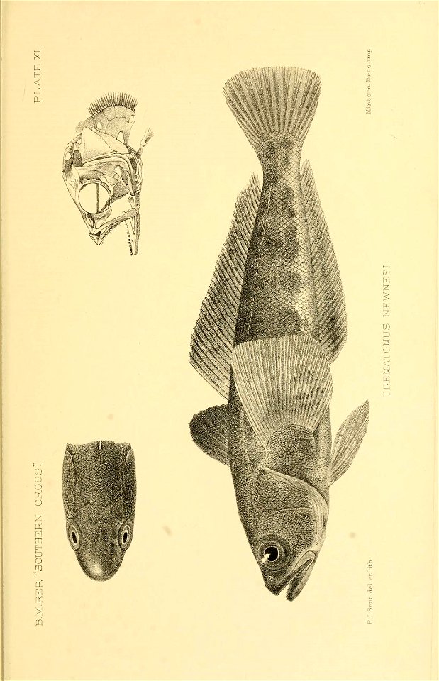 n376_w1150