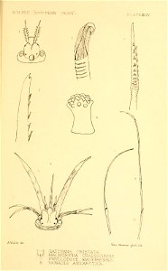 n436_w1150