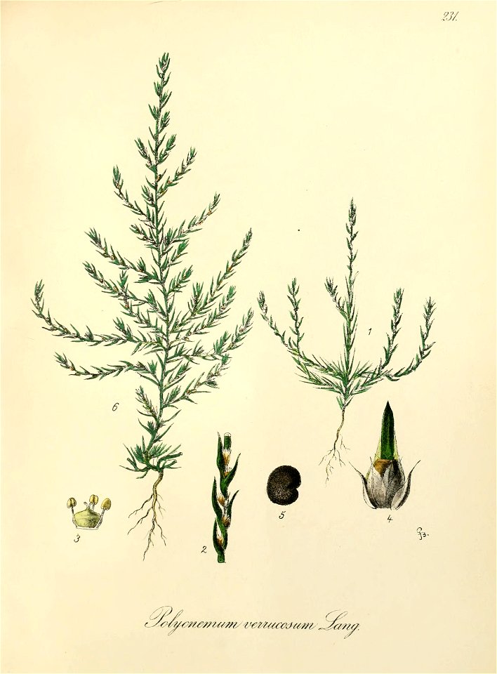 n412_w1150
