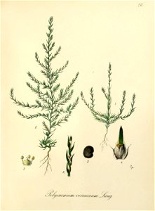 n412_w1150
