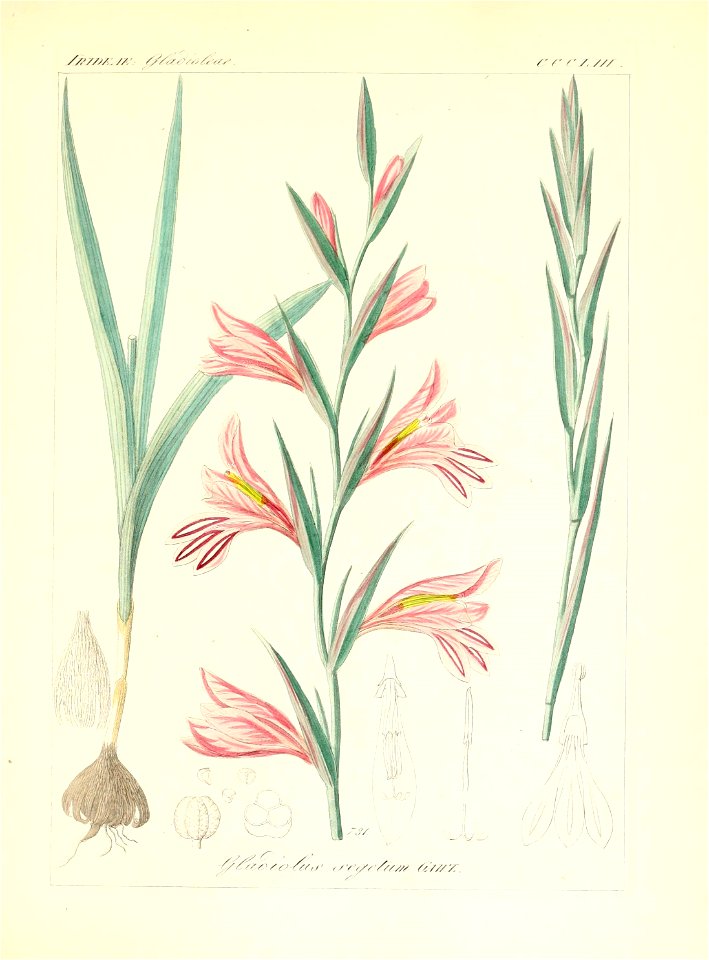 n102_w1150