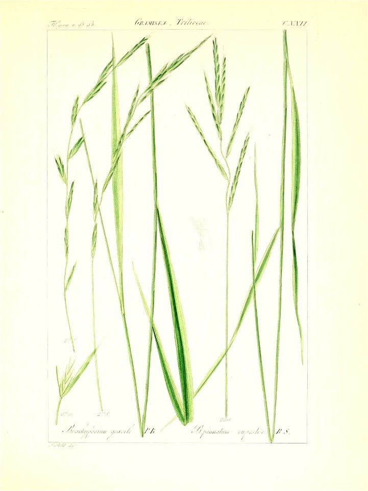 n198_w1150