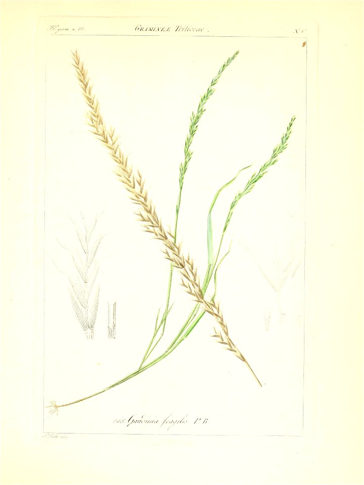 n126_w1150