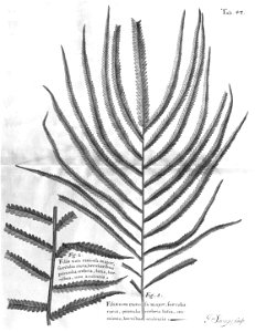 n483_w1150