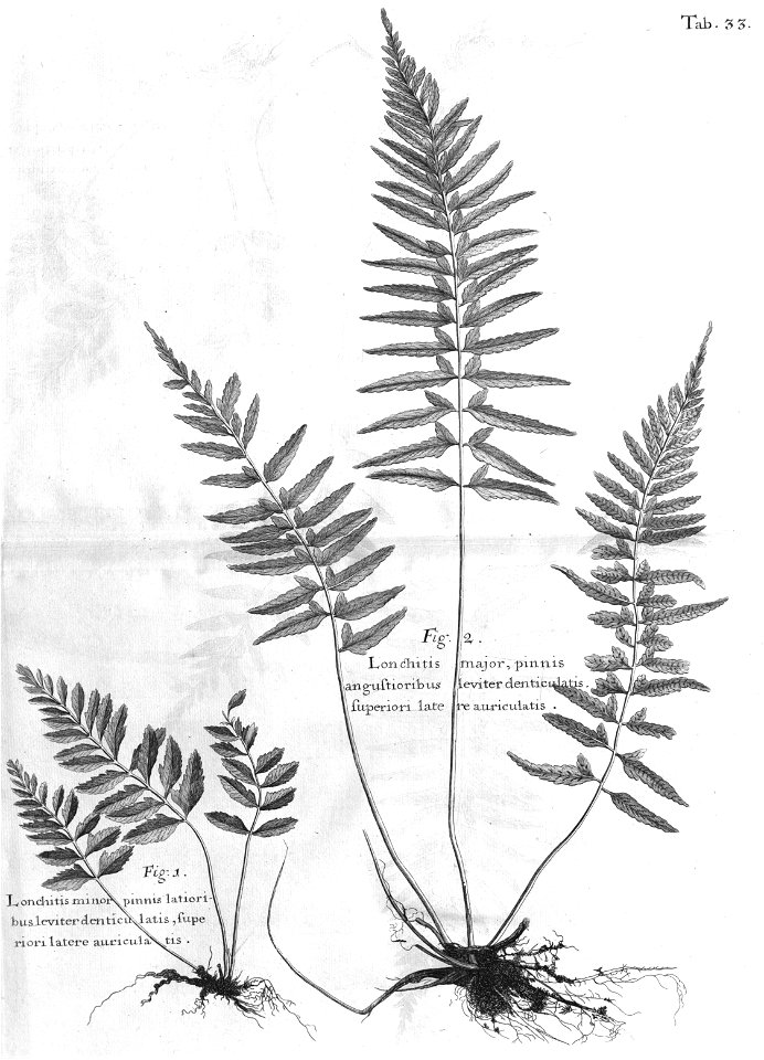n468_w1150