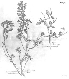 n527_w1150