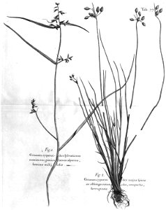 n512_w1150