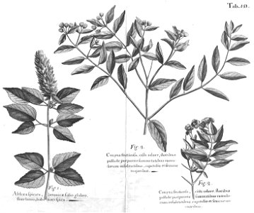 n586_w1150