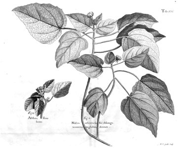 n571_w1150
