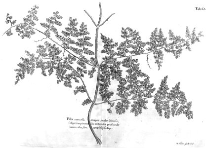 n496_w1150