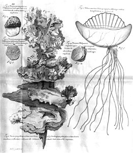n171_w1150